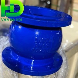 Van một chiều lò xo
